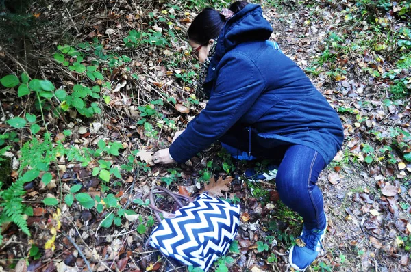 Asiáticos Viajantes Tailandeses Mulheres Idosas Caminhando Selva Para Coletor Caçador — Fotografia de Stock