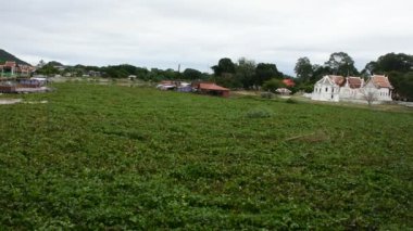 Tayland 'ın Uthaithani şehrinde, Uthaithani şehrinde, Uthaithani şehrinde, Tayland halkı ve yabancı gezginler için Sümbül ve Wat Uposatharam veya Bot tapınağı ile Sakae Krang nehrinin manzarasına bakın.