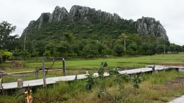 Ansicht Landschaft Reisfeld Und Sehenswürdigkeiten Kaonor Kaokaew Kalksteinberge Für Thailändische — Stockvideo