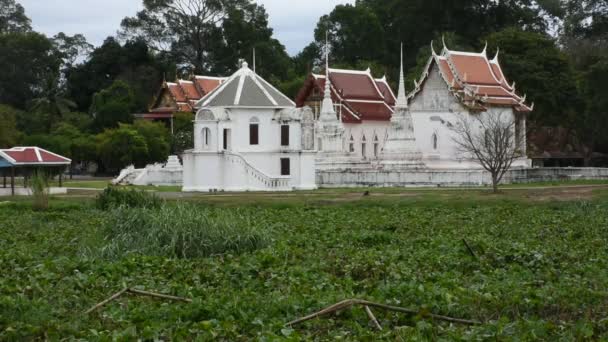 View Landscape Sakae Krang River Water Hyacinth Wat Uposatharam Bot — Stock Video