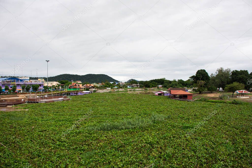 View landscape cityscape of Uthaithani city and local center market at riverside with Eichhornia crassipes or Common water hyacinth in Sakae Krang river in Uthai Thani Province of Thailand