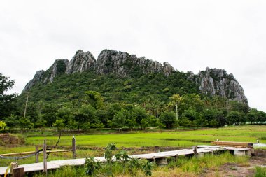 Peyzaj çeltik tarlası ve KaoNor KaoKaew Kireçtaşı Dağları Tayland 'ın Nakhon Sawan Eyaleti' ndeki Banphot Phisai 'ye seyahat eden Taylandlılar ve Taylandlılar için bahar yağmuru mevsimi.