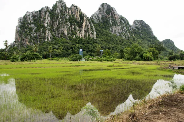 Tayland 'ın Nakhon Sawan Eyaleti' nin Banphot Phisai ilçesine seyahat eden Taylandlılar ve Taylandlılar için çeltik tarlaları ve KaoNor KaoKaew kireçtaşı dağları manzarası