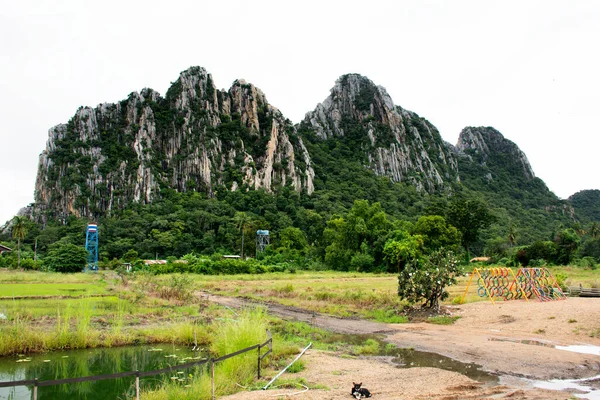 Paysage Rizière Paddy Monuments Kaonor Kaokaew Montagnes Calcaires Saison Des — Photo