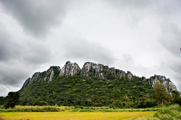 Ver Paisaje Arrozal Arrozal Lugares Interés Kaonor Kaokaew Montañas Piedra — Foto de Stock