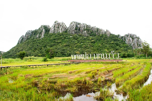 Paisaje Arrozal Campo Arroz Lugares Interés Kaonor Kaokaew Montañas Piedra — Foto de Stock