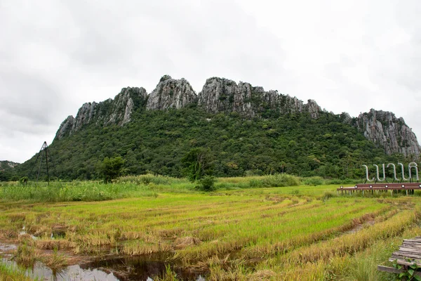 Paisaje Arrozal Campo Arroz Lugares Interés Kaonor Kaokaew Montañas Piedra — Foto de Stock