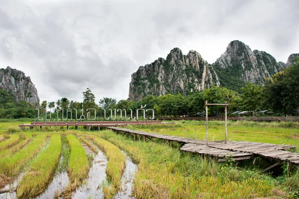 2020年10月19日 泰国人和外国游客在泰国纳孔萨旺Banphot Phisai游览的风景稻田和地标 考诺考高考石灰岩山脉雨季 — 图库照片