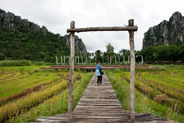 Voyageurs Thai Women Walking Travel Visit Walkway Wooden Bridge Rice — Photo