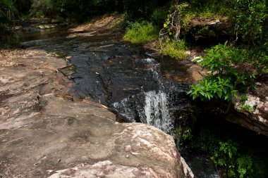 Tham Buang Şelaleleri, Tayland 'ın Udon Thani kentindeki Nong Saeng şehrinde Tayland' da, Tayland halkı ve yabancı gezginler için Pa Phan Don Ulusal Orman Koruma Alanı 'ndaki Phu Foi Lom' daki ormanlarda geziyorlar.