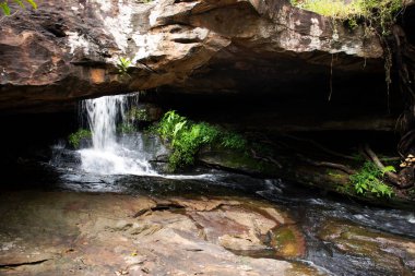 Tham Buang Şelaleleri, Tayland 'ın Udon Thani kentindeki Nong Saeng şehrinde Tayland' da, Tayland halkı ve yabancı gezginler için Pa Phan Don Ulusal Orman Koruma Alanı 'ndaki Phu Foi Lom' daki ormanlarda geziyorlar.