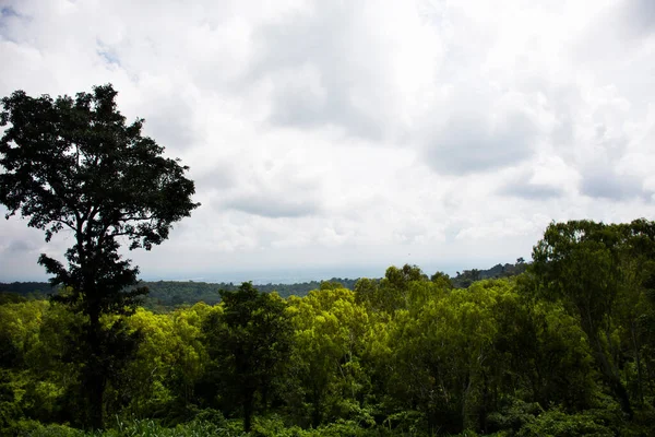 Punto Vista Giungla Paesaggistica Phu Foi Lom Phan Don National — Foto Stock