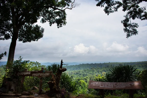 Punto Vista Giungla Paesaggistica Phu Foi Lom Phan Don National — Foto Stock