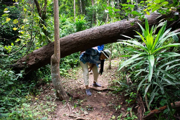 Thai Travelers Women People Walking Trail Hiking Trekking Travel Visit — Stock Photo, Image