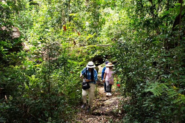 Travelers Thai People Walk Trail Hiking Forest Visit Tham Buang — Stock Photo, Image