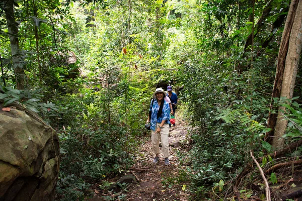 Travelers thai people walk trail hiking in forest visit Tham Buang Waterfall on Phu Foi Lom in Pa Phan Don National Forest Reserve on September 15, 2020 in Udon Thani, Thailand in Udon Thani, Thailand