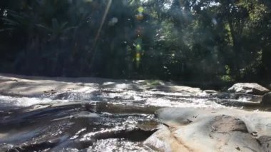 Thai halkı ve yabancı gezginler için Mae 'deki Doi suthep doi pui milli parkının vahşi ormanlarında dinlenmek ve gezmek için bir şelale.