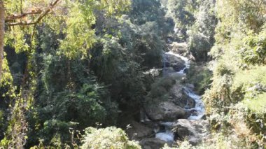 Thai halkı ve yabancı gezginler için Mae 'deki Doi suthep doi pui milli parkının vahşi ormanlarında dinlenmek ve gezmek için bir şelale.