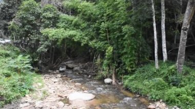 Mae Lai nehri ve orman manzarası Taylandlılar ve Tayland 'ın Chiang Mai kentindeki Mae On' daki Doi suthep doi milli parkını ziyaret edip dinlenin.