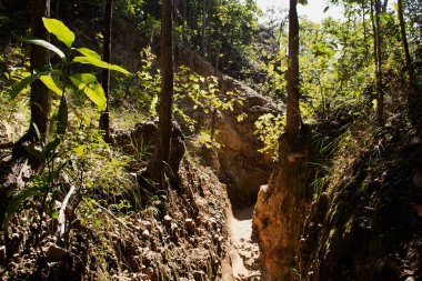 Tayland 'ın başkenti Chiang Mai' de bulunan Doi Lo şehrindeki Mae Wang Ulusal Parkı 'nın vahşi ormanlarını takip eden Pha Chor kanyon kayalıklarını ziyaret edin.
