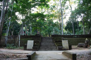 Wat U mong ya da Wat Umong Suan Puthatham Tayland 'ın başkenti Chiang Mai' de Doi Suthep dağlarına karşı dua eden Tayland halkı ve yabancı gezginler için 700 yıllık bir Budist tapınağıdır.
