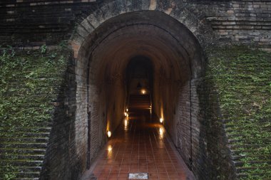 Wat U mong ya da Wat Umong Suan Puthatham Tayland 'ın başkenti Chiang Mai' de Doi Suthep dağlarına karşı dua eden Tayland halkı ve yabancı gezginler için 700 yıllık bir Budist tapınağıdır.