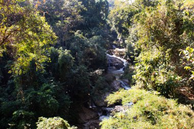 Thai halkı ve yabancı gezginler için Mae 'deki Doi suthep doi pui milli parkının vahşi ormanlarında dinlenmek ve gezmek için bir şelale.