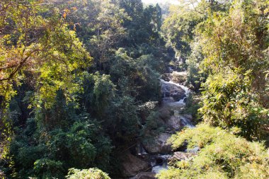 Thai halkı ve yabancı gezginler için Mae 'deki Doi suthep doi pui milli parkının vahşi ormanlarında dinlenmek ve gezmek için bir şelale.