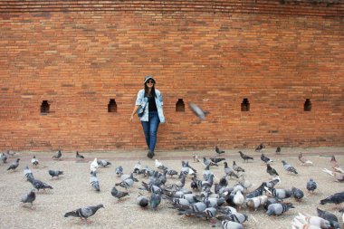 Taylandlı gezginler Thapae antik kapısında güvercin kuşları veya Chiang Mai eski şehir tuğla duvarları ve Tayland 'ın Chiang Mai şehrinin en ünlü simgelerinden biri olan Tha Pae kapılarını ziyaret edip fotoğraf çekerler.