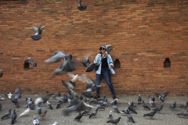 Taylandlı gezginler Thapae antik kapısında güvercin kuşları veya Chiang Mai eski şehir tuğla duvarları ve Tayland 'ın Chiang Mai şehrinin en ünlü simgelerinden biri olan Tha Pae kapılarını ziyaret edip fotoğraf çekerler.