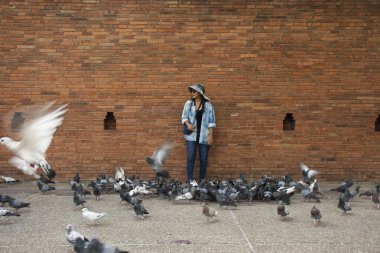 Taylandlı gezginler Thapae antik kapısında güvercin kuşları veya Chiang Mai eski şehir tuğla duvarları ve Tayland 'ın Chiang Mai şehrinin en ünlü simgelerinden biri olan Tha Pae kapılarını ziyaret edip fotoğraf çekerler.