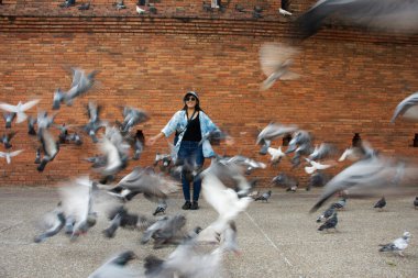 Taylandlı gezginler Thapae antik kapısında güvercin kuşları veya Chiang Mai eski şehir tuğla duvarları ve Tayland 'ın Chiang Mai şehrinin en ünlü simgelerinden biri olan Tha Pae kapılarını ziyaret edip fotoğraf çekerler.
