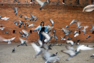 Taylandlı gezginler Thapae antik kapısında güvercin kuşları veya Chiang Mai eski şehir tuğla duvarları ve Tayland 'ın Chiang Mai şehrinin en ünlü simgelerinden biri olan Tha Pae kapılarını ziyaret edip fotoğraf çekerler.