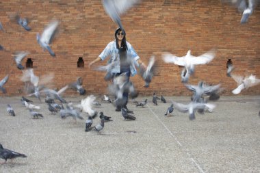 Taylandlı gezginler Thapae antik kapısında güvercin kuşları veya Chiang Mai eski şehir tuğla duvarları ve Tayland 'ın Chiang Mai şehrinin en ünlü simgelerinden biri olan Tha Pae kapılarını ziyaret edip fotoğraf çekerler.