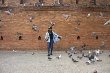Taylandlı gezginler Thapae antik kapısında güvercin kuşları veya Chiang Mai eski şehir tuğla duvarları ve Tayland 'ın Chiang Mai şehrinin en ünlü simgelerinden biri olan Tha Pae kapılarını ziyaret edip fotoğraf çekerler.