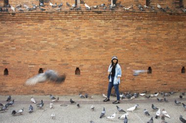 Taylandlı gezginler Thapae antik kapısında güvercin kuşları veya Chiang Mai eski şehir tuğla duvarları ve Tayland 'ın Chiang Mai şehrinin en ünlü simgelerinden biri olan Tha Pae kapılarını ziyaret edip fotoğraf çekerler.