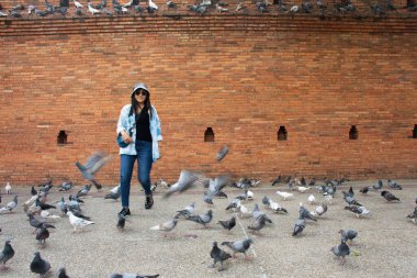 Taylandlı gezginler Thapae antik kapısında güvercin kuşları veya Chiang Mai eski şehir tuğla duvarları ve Tayland 'ın Chiang Mai şehrinin en ünlü simgelerinden biri olan Tha Pae kapılarını ziyaret edip fotoğraf çekerler.