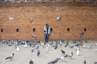 Taylandlı gezginler Thapae antik kapısında güvercin kuşları veya Chiang Mai eski şehir tuğla duvarları ve Tayland 'ın Chiang Mai şehrinin en ünlü simgelerinden biri olan Tha Pae kapılarını ziyaret edip fotoğraf çekerler.