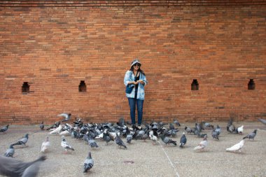 Taylandlı gezginler Thapae antik kapısında güvercin kuşları veya Chiang Mai eski şehir tuğla duvarları ve Tayland 'ın Chiang Mai şehrinin en ünlü simgelerinden biri olan Tha Pae kapılarını ziyaret edip fotoğraf çekerler.