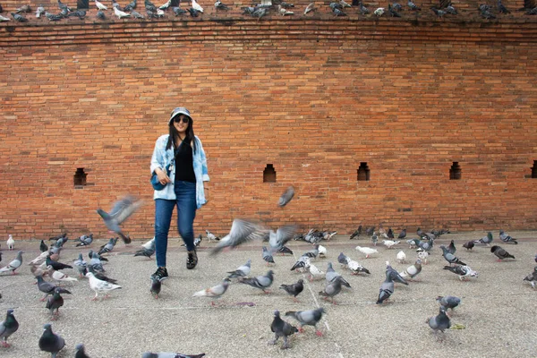 Taylandlı gezginler Thapae antik kapısında güvercin kuşları veya Chiang Mai eski şehir tuğla duvarları ve Tayland 'ın Chiang Mai şehrinin en ünlü simgelerinden biri olan Tha Pae kapılarını ziyaret edip fotoğraf çekerler.