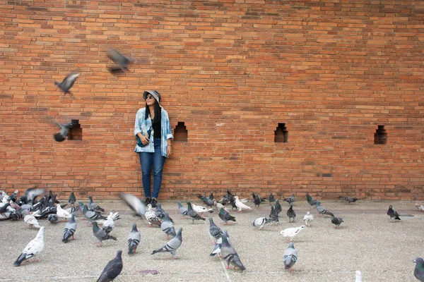 Taylandlı gezginler Thapae antik kapısında güvercin kuşları veya Chiang Mai eski şehir tuğla duvarları ve Tayland 'ın Chiang Mai şehrinin en ünlü simgelerinden biri olan Tha Pae kapılarını ziyaret edip fotoğraf çekerler.