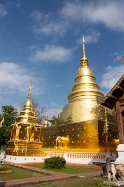 Thai halkı ve yabancı gezginler için altın Chedi stupa Phra Singh 'deki Buda yadigârları. Tayland, Chiang Mai' de bulunan Phra Singh Woramahawihan Tapınağı 'nda Buda' nın meleğine saygılarını sunuyorlar.