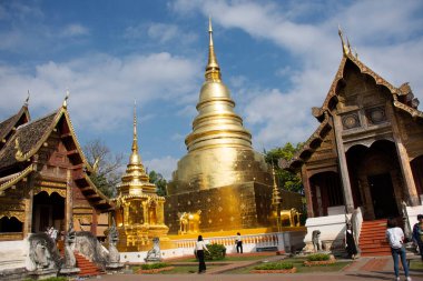 Taylandlılar ve yabancı gezginler 10 Kasım 2020 'de Tayland' ın Chiang Mai şehrinde Wat Phra Singh Woramahaviharn Tapınağı 'nda Buda' ya ve kutsal emanetlere saygı göstererek seyahat ederler.