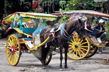 Endonezyalılar, Endonezya halkı ve yabancı gezginler, 31 Mart 2016 tarihinde Sumatera Utara 'da Kabupaten Karo' da Kuzey Sumatra, Endonezya 'da servis turu yapıyor.