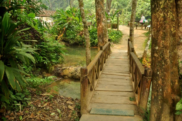 Pequena Ponte Madeira Cruzando Riacho Para Pessoas Laocianas Viajantes Estrangeiros — Fotografia de Stock