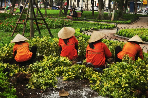 2016年4月12日 ベトナムのハノイでベトナムの女性労働者がホーエンキエム湖の木と葉の植物を伐採し ゴミを保管する園芸作業をしている人々がホーエンキエムの剣公園に戻ってきました — ストック写真