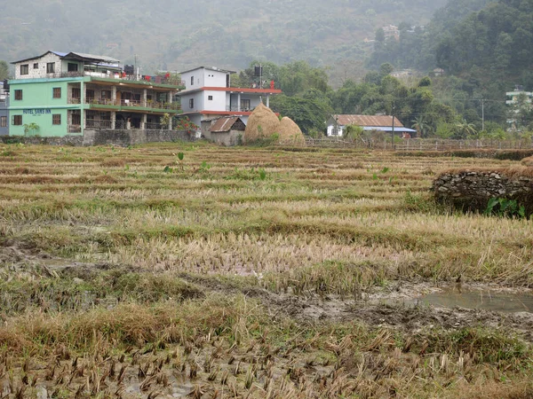 Zobacz Krajobraz Krajobraz Mała Wioska Nepalskich Ludzi Przeszczep Siewu Ryżu — Zdjęcie stockowe