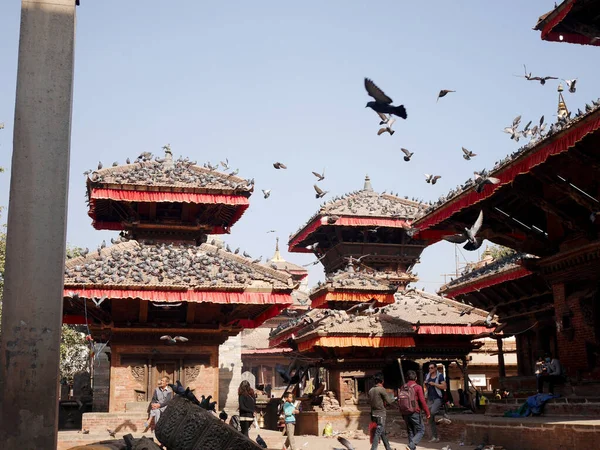 Les Colombes Attendent Nepali Les Voyageurs Étrangers Qui Nourrissent Avec — Photo