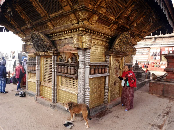 Temple Népalais Hariti Temple Hindou Ajima Swayambhunath Temple Singe Pour — Photo
