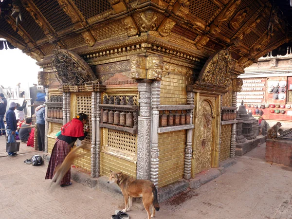 Temple Népalais Hariti Temple Hindou Ajima Swayambhunath Temple Singe Pour — Photo